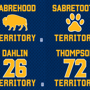 Sabre Territory Lawn Signs Lewiston Porter Cheer