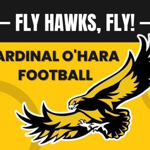 Lawn Sign Fundraiser: Fly Hawks, Fly!